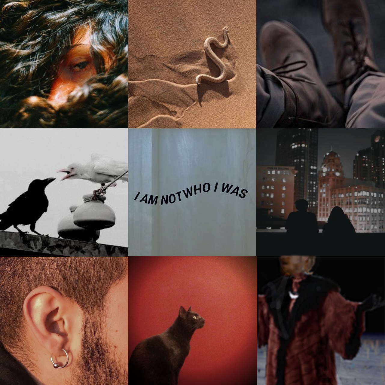 9-slot aesthetic moodboard, framed as if it were a polaroid. From top left, pictures show: 1. a dark eye looking to the viewer out of a medium light skinned face, all else in the face obscured by whipping curly brown hair. 2. a white snake and its marks in the sand. 3. dark brown image of boots. 4. image of a black and white raven, on a roof, screeching at each other. 5. wavy text reads 'I Am Not Who I Was.' 6. two sillouettes seated on a roof watching the lights of a modern city, the shorter one has a lot of hair. 7. close up of a light skinned man's temple, his cropped red hair and beard, and his round earring. 8. a black cat seemingly standing in a spotlight against a red background. 9. A red bearded man in an elaborate red furcoat and gold jewllery gesturing on what seems to be the moon.